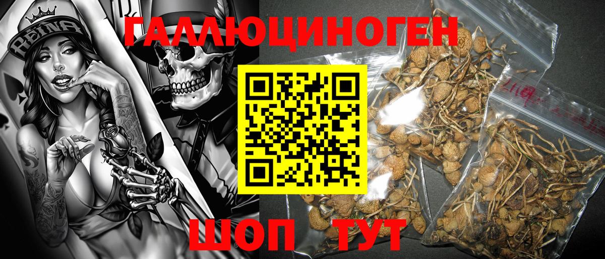 Галлюциногенные грибы Psilocybe  Вход с VPN  Рославль  Псилоцибиновые грибы Cubensis 