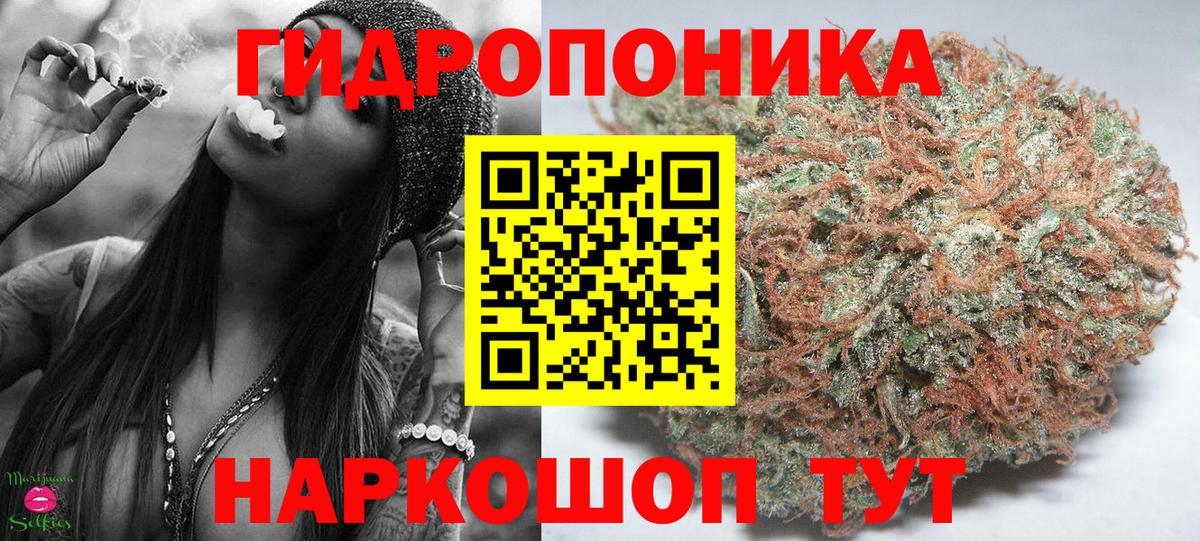 Канабис ГИДРОПОН  Каннабис марихуана  Рославль  Вход с VPN 